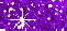 purple3.gif
